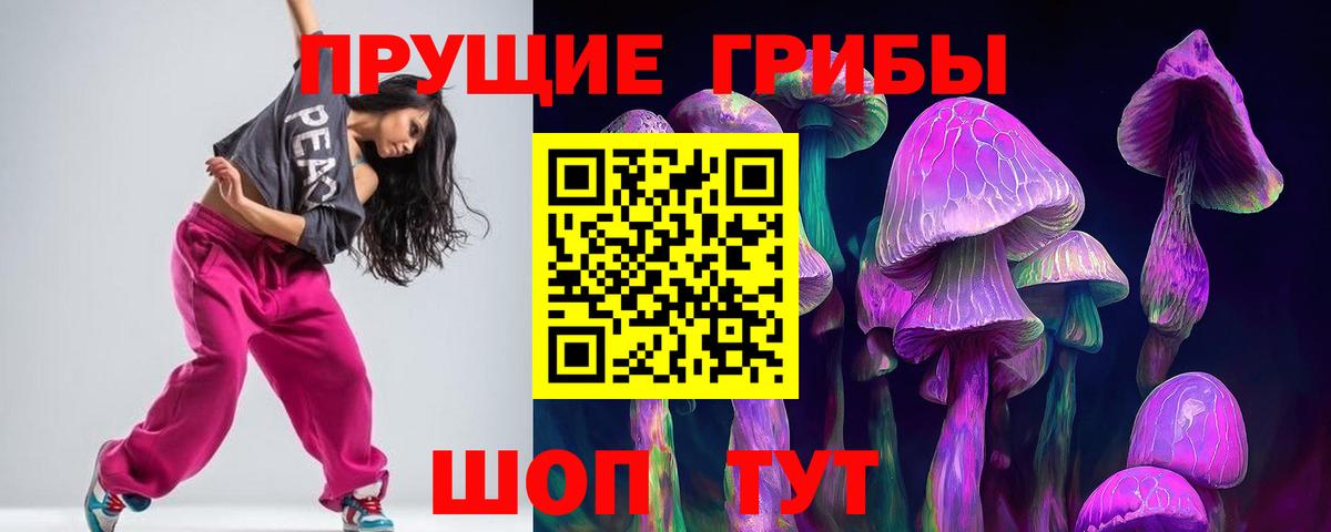 Псилоцибиновые грибы GOLDEN TEACHER Краснодар
